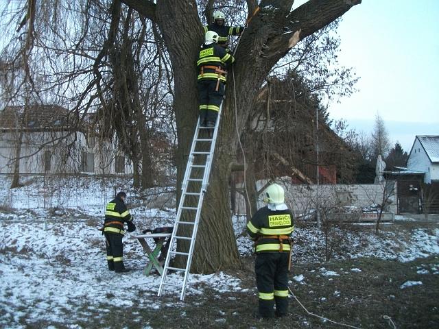 foto 005.jpg - Mrty se pipravuje ke slaovn